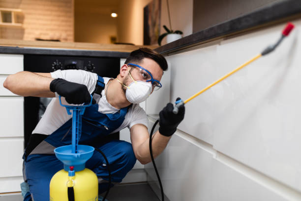 Best Mosquito Control Services  in Plain City, UT