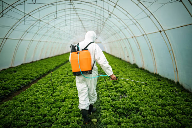 Best Pest Removal Services  in Plain City, UT