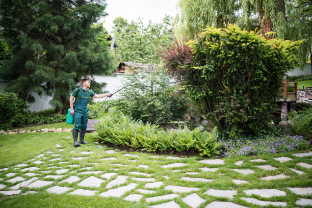 Best Pest Control for Homes  in Plain City, UT