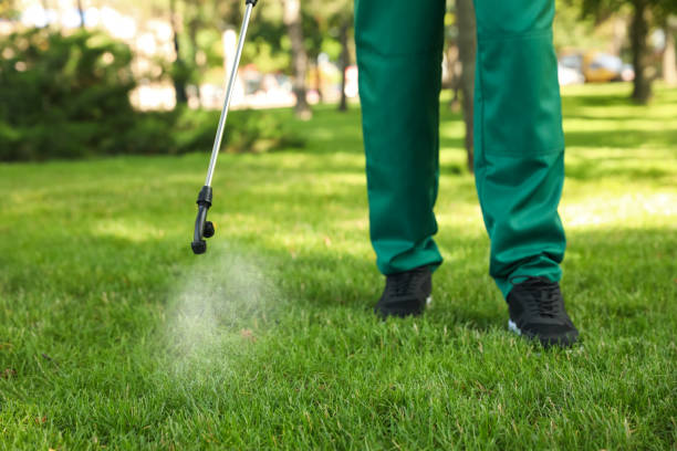 Best Commercial Pest Control Services  in Plain City, UT