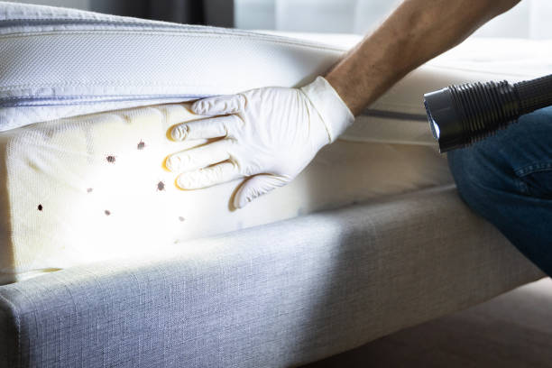 Plain City, UT Pest Control Company
