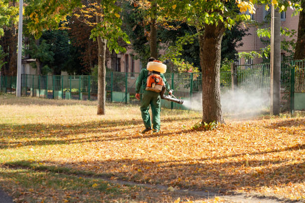 Best Best Pest Control Companies  in Plain City, UT